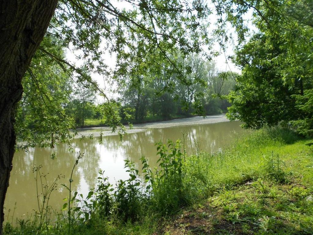 Hotel Domaine De La Helliere Lailly-en-Val Zewnętrze zdjęcie